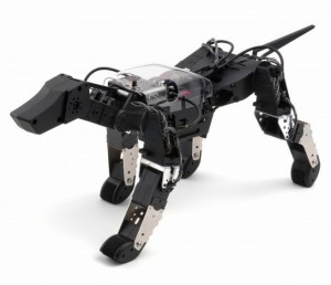 hpi_g_dog-2