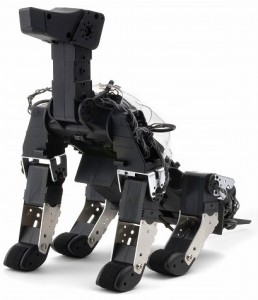 hpi_g_dog