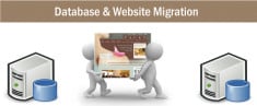 Painless Database Migration
